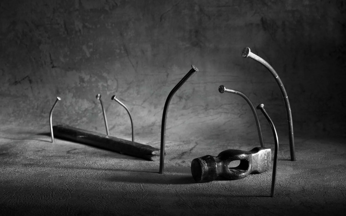 Изображение взято из открытых источников