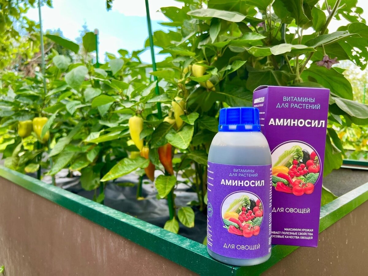 Фото пользователей витаминных комплексов АМИНОСИЛ