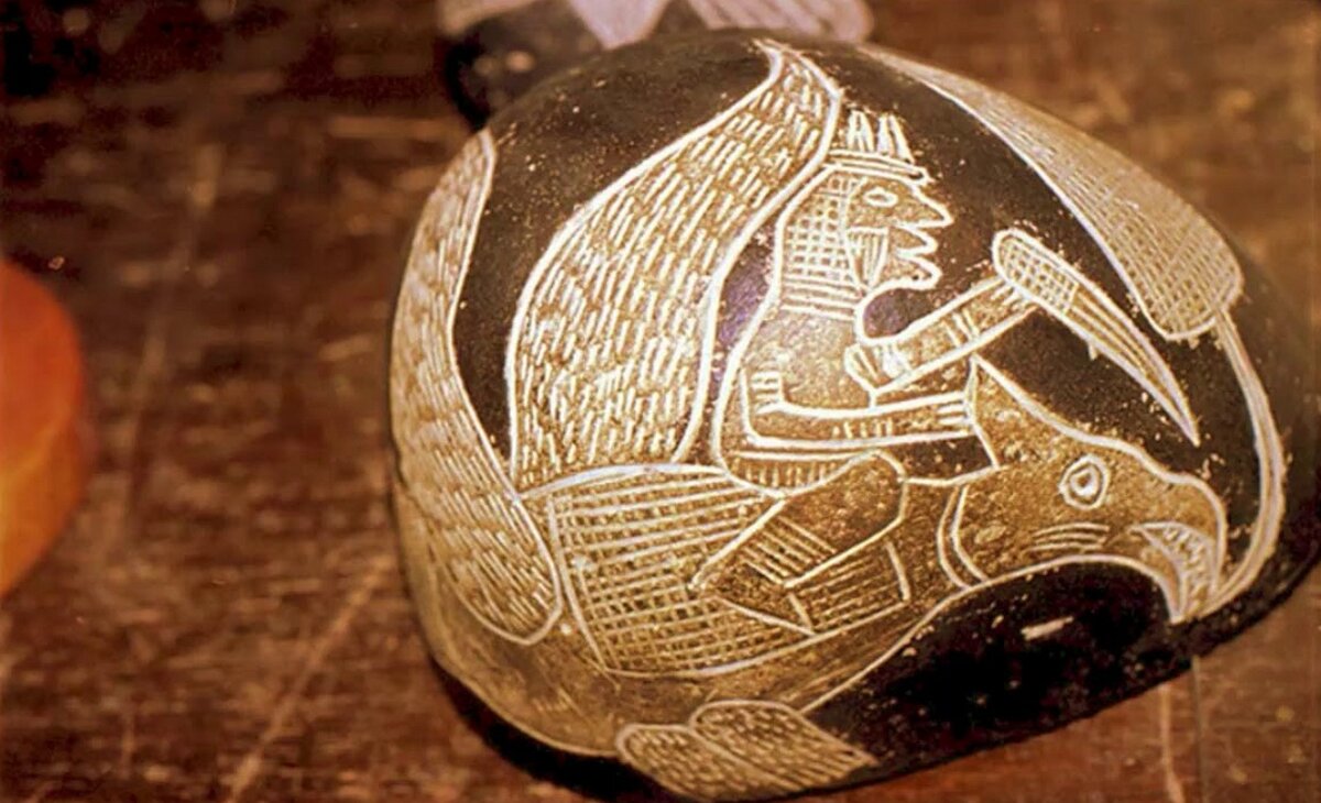 фото из открытого доступа