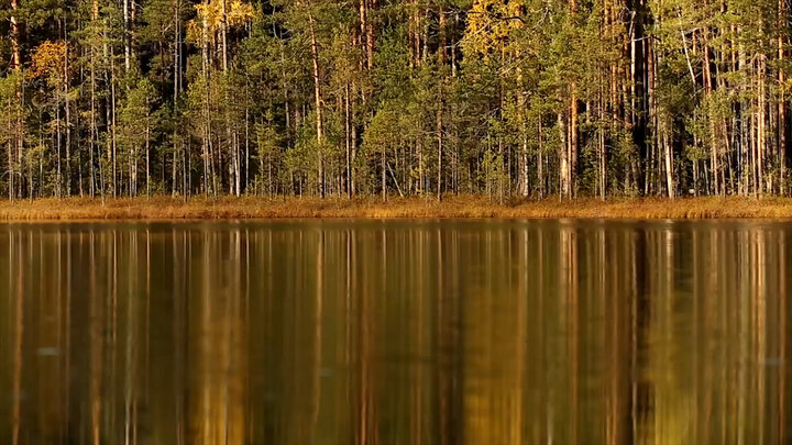 ФОТО: ЦАРЬГРАД