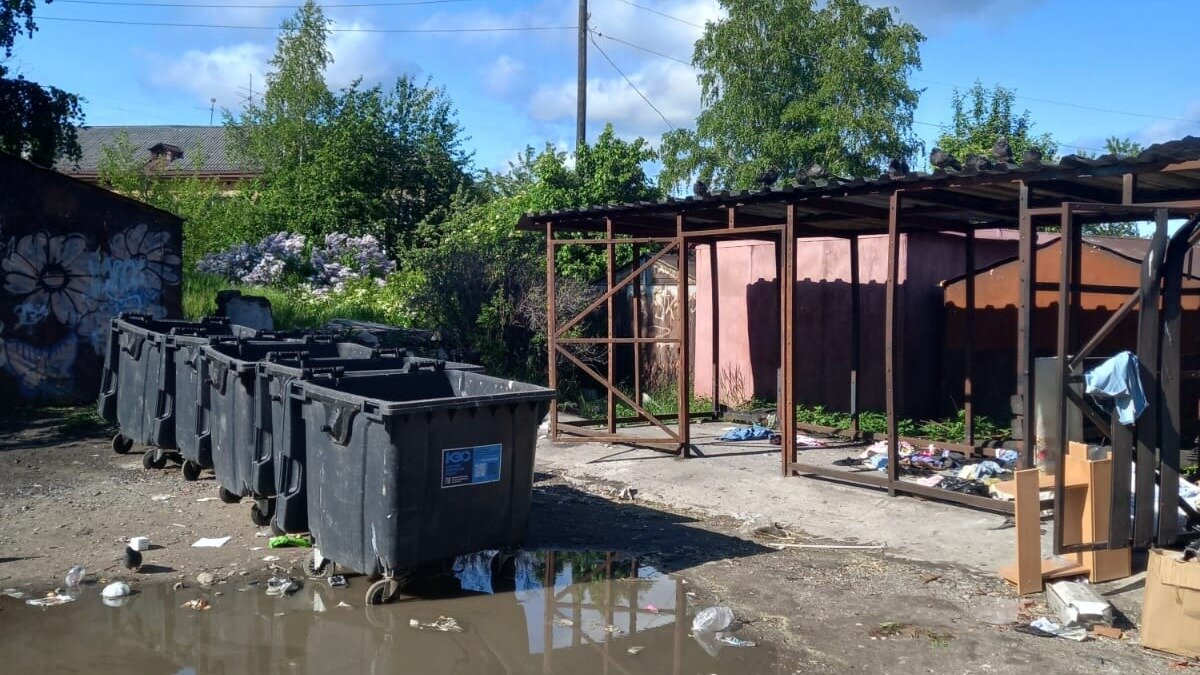     В одном из дворов карельской столицы крысы «принимают ванну» в луже. Местные жители обеспокоены. Ситуацию прокомментировали специалисты мэрии.