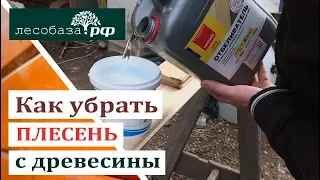 Как убрать плесень с древесины?