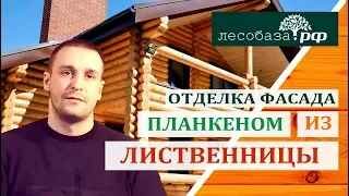 Планкен из лиственницы. Отделка фасада и потолка