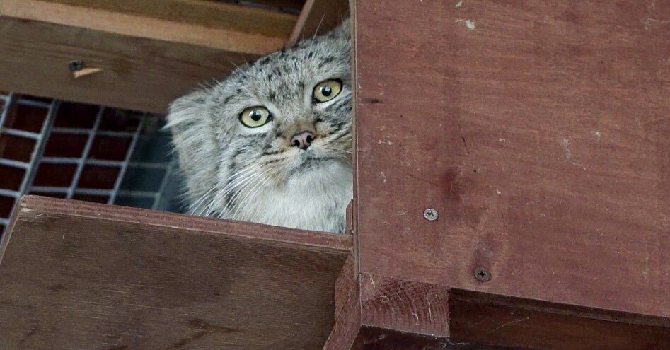    АГН "Москва"