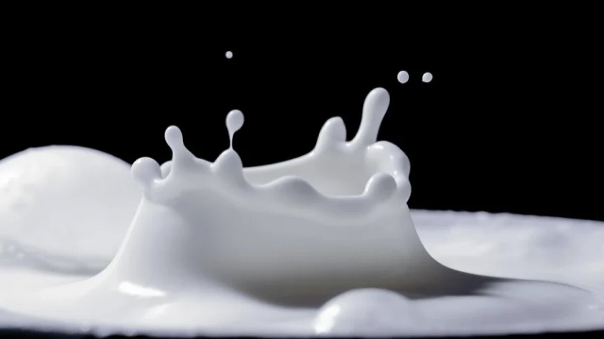 Фото: pixabay.com