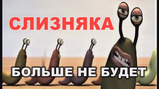 СЛИЗНЯК, САМЫЙ эффективный способ избавиться.