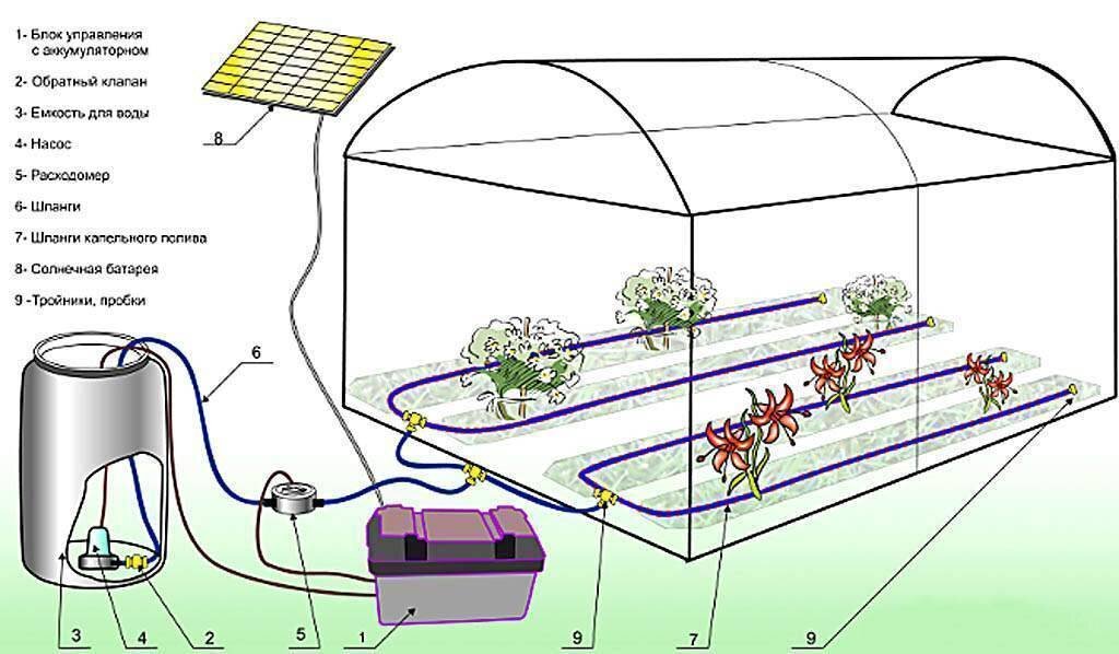 Капельный полив в теплице и на огороде своими руками: комплектующие, схемы, фото, видео