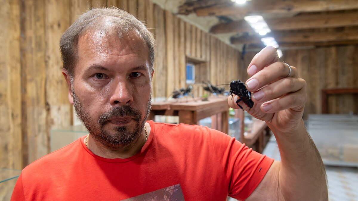    Тарапотерапевт