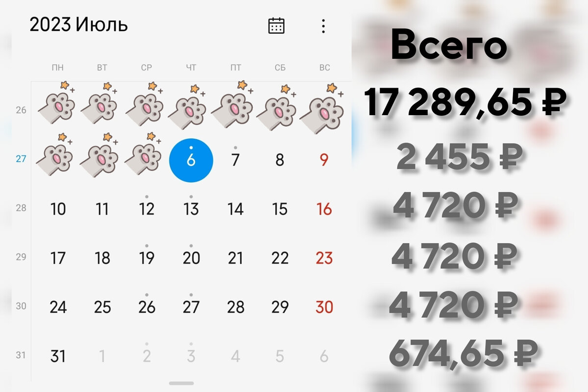 Сегодня в магазин уже точно не пойду! Так что для трат в супермаркете с 7 по 9 июля у нас будет 2455 рублей, а затем три недели будем укладываться в сумму 4 720 ₽