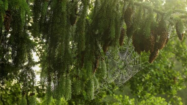    © Sputnik / Альфред Микус