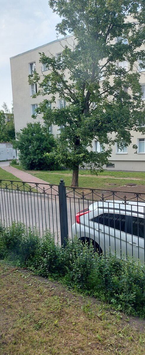 Вид из окна поликлиники. Фото из личного архива.