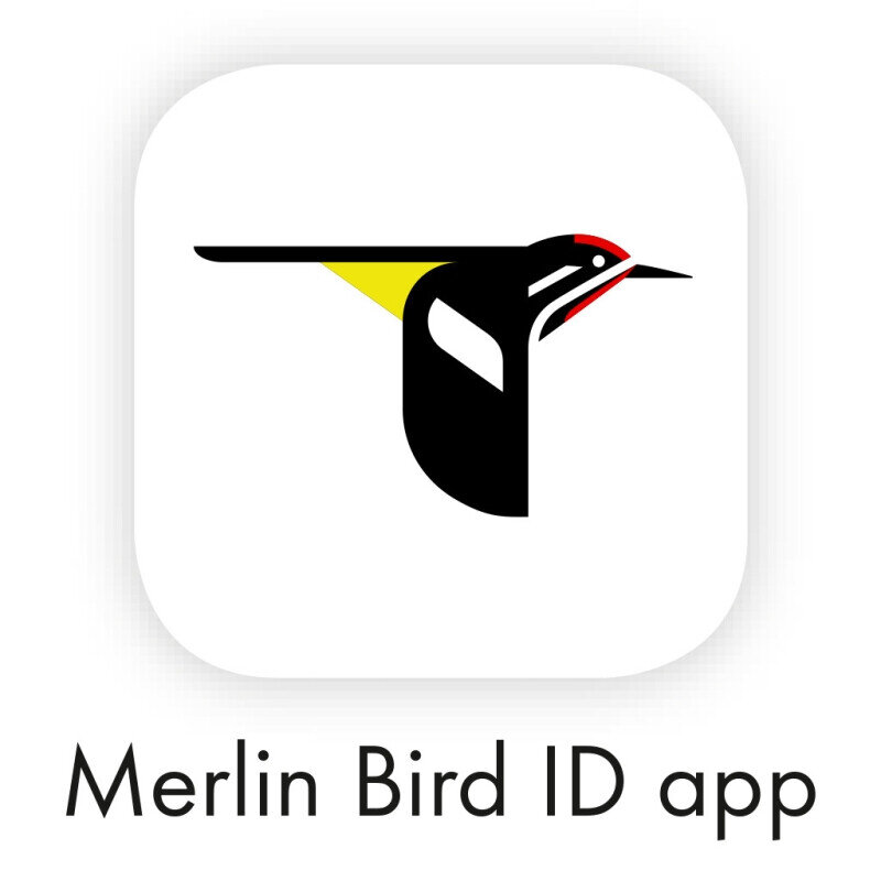 Иконка программы (из интернета)