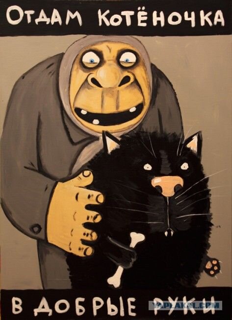 Куда же мне, тебя пристроить ???