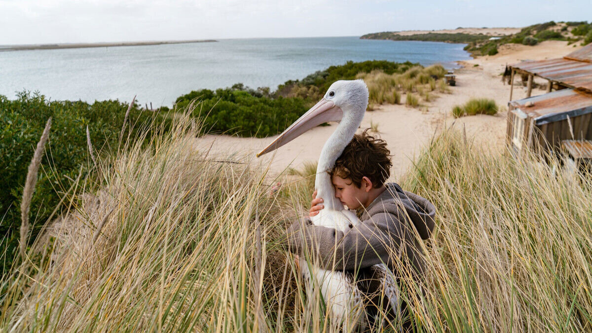 Кадр из фильма «Мой друг мистер Персиваль»