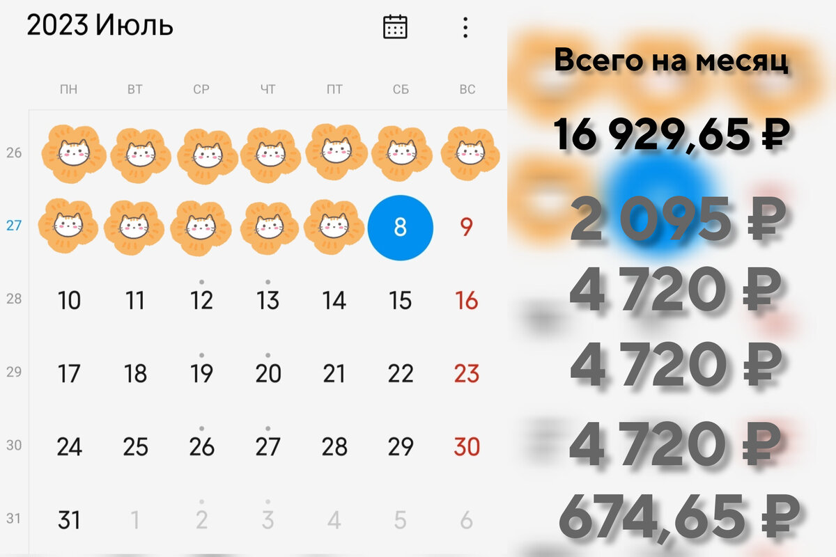 Мы хотим в июле не тратить на продукты и бытовую химию больше 23 000 рублей. Из этих денег осталось 16 929,65 руб. 