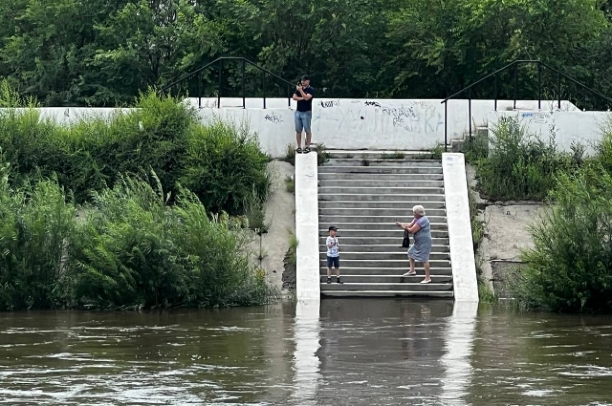    Река Чита поднялась в районе мостов на Пожарке и Белика