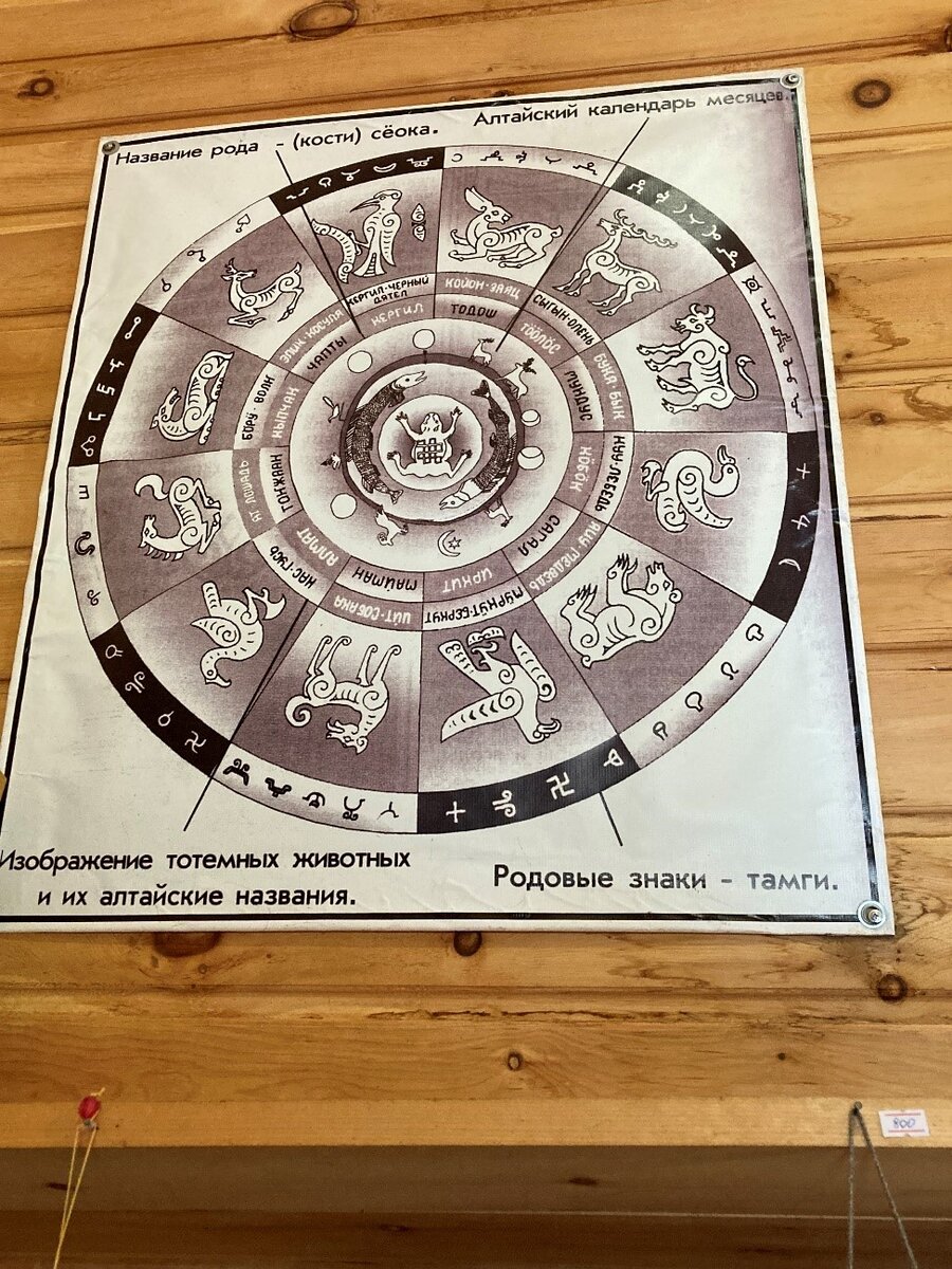 Карта основных алтайских родов Фото: Я. Бородина