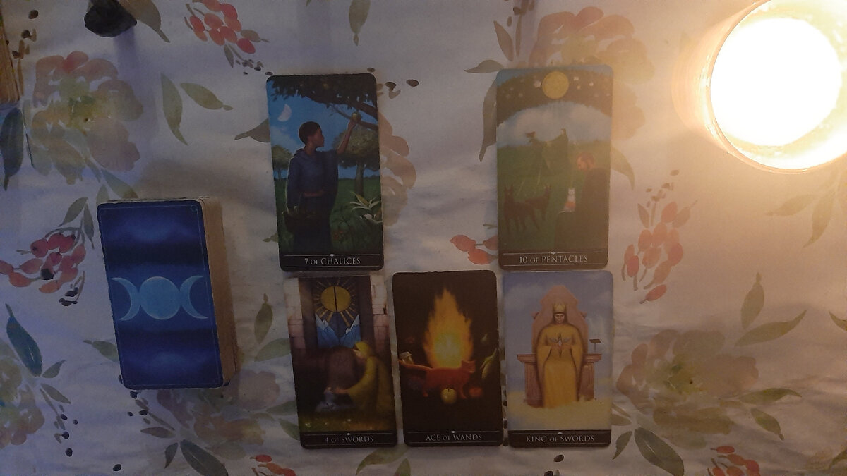 сигнификация