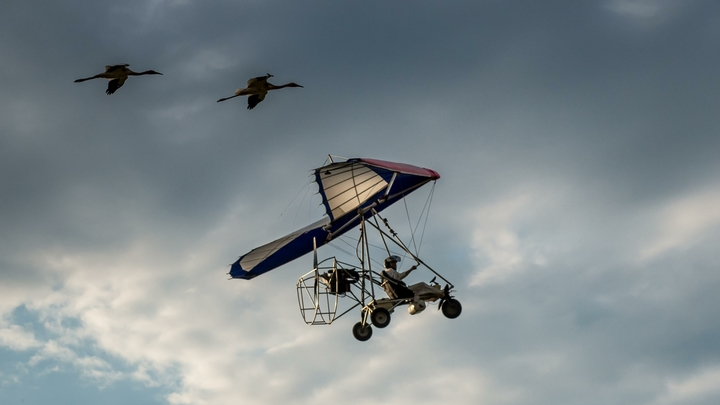 GEORGIY ROZOV/RUSSIAN LOOK 