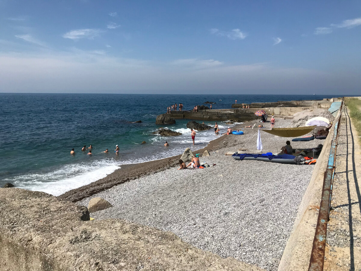 Какие сейчас в Крыму есть кровососущие комары? | Записки ...