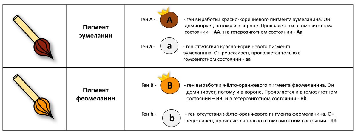 Не все анекдоты правдивы