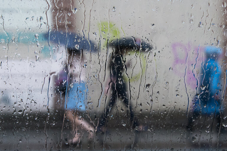    Фото: Baltphoto/ Павел Долганов