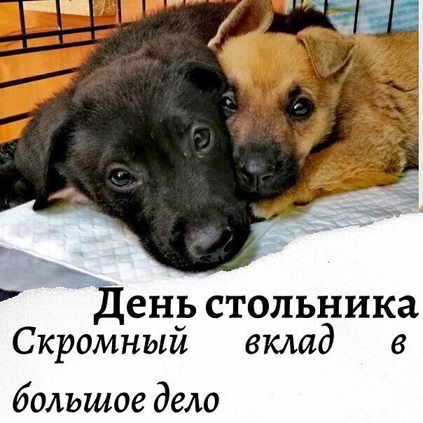 Из открытого источника