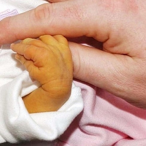 фото из свободных источников