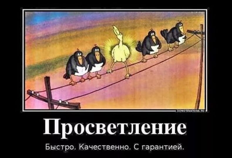 Переходя на светлую сторону, переходите исключительно по зебре.