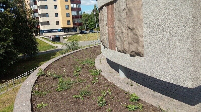     Пустующая клумба возле одного из мемориальных комплексов возмутила горожан, об этом высказались в соцсетях.