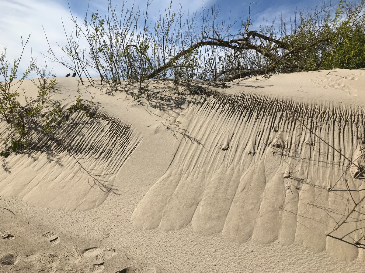 Песчаный пляж. Сердце нарисованное на песке. Море пляж. Рисование песком история. Песочек песочек песня.