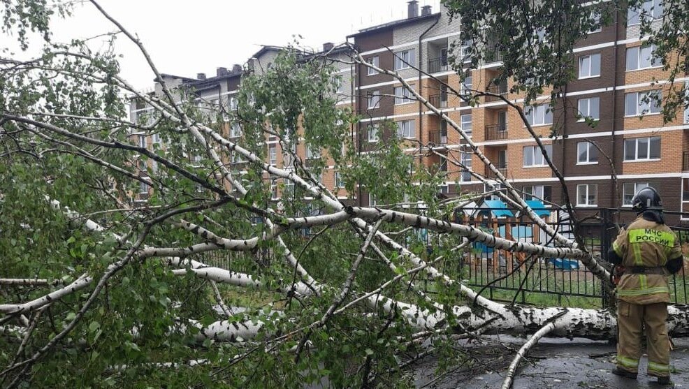     В Татарстане из-за ухудшения погодных условий пострадали деревья и здания. Соответствующие публикации появились в Telegram-каналах региона.