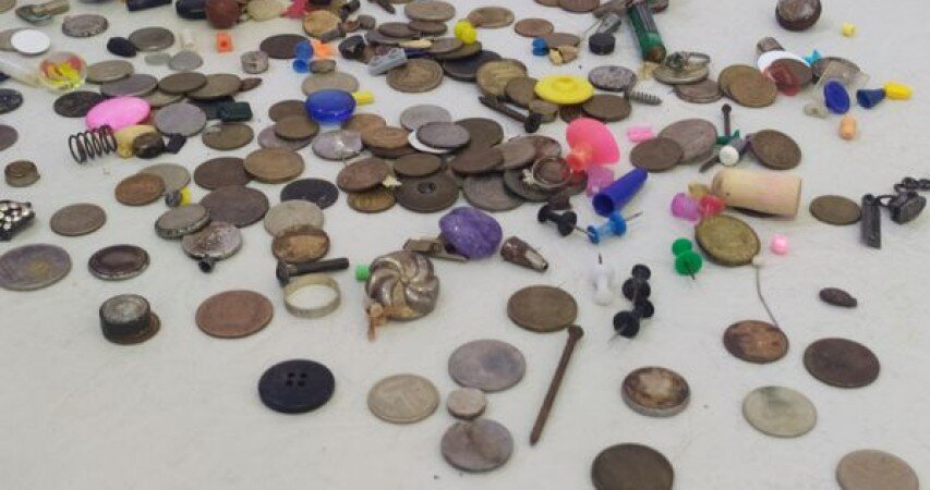 Фото: пресс-служба КМКБ №20 имени И. С. Берзона