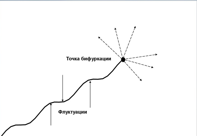 Точка бифуркации 6 читать смит