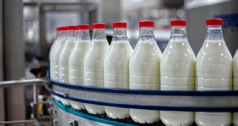 молочные продукты киргизии. запрет на ввоз молочной продукции. запрет на ввоз молочной продукции. запрещенные ввозу в рф сыры. молочной продукции.