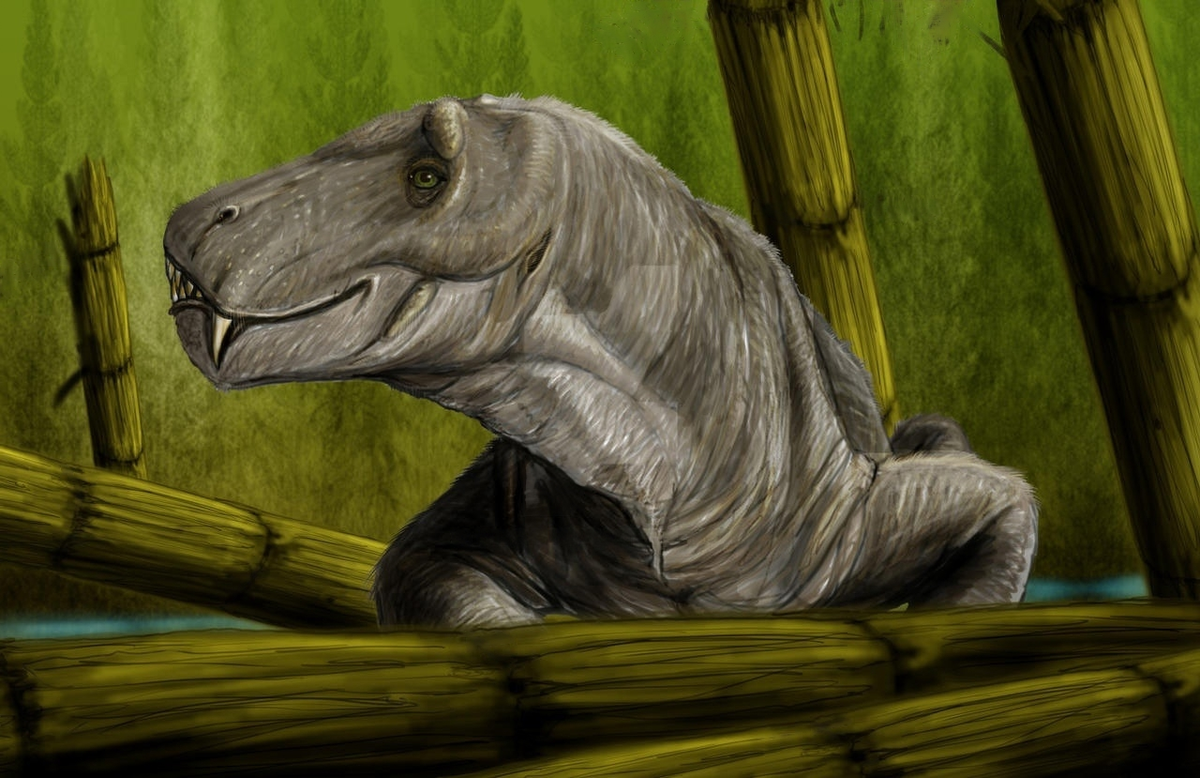 Да какой я убийца? Ты глаза мои видел? Смотри, какие добрые! Подойди ближе, присмотрись! 