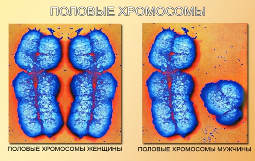 Закон о запрете смены пола