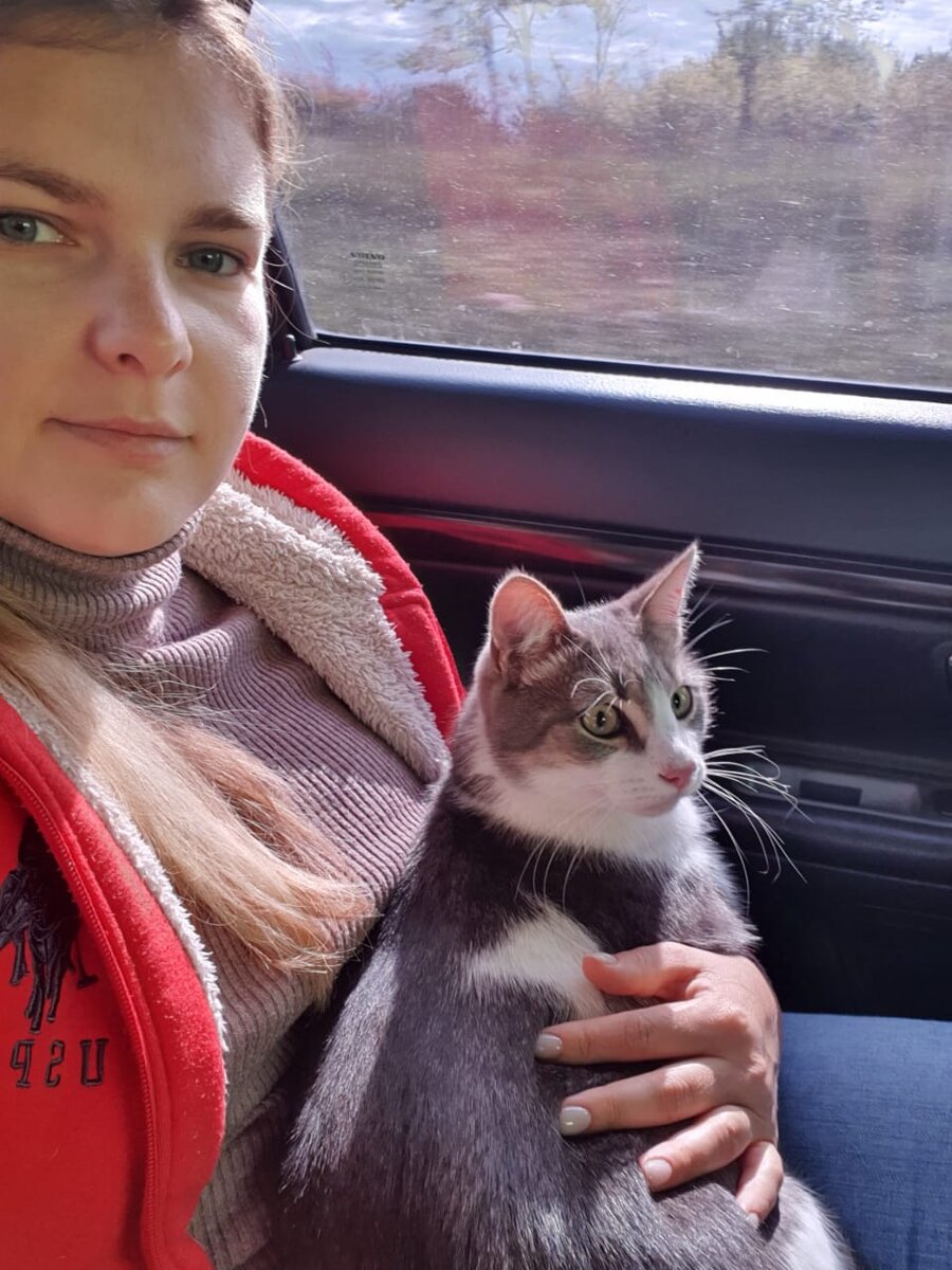 Настя и Честер едут на рентген.