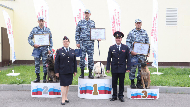     Сибирский кинолог стал лучшим в России. t.me/utsibfo
