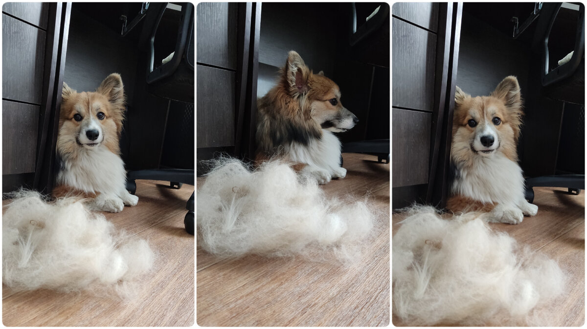 Немного вычесали:) 