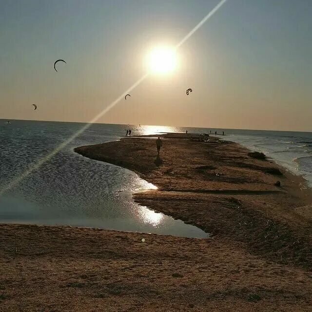 Морской уж азовское море фото