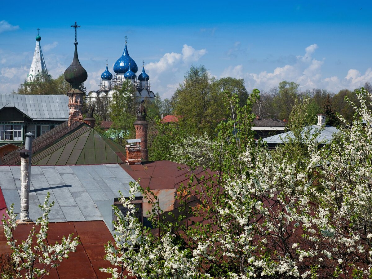 5 экскурсий для всей семьи: куда поехать из Москвы на один день без ...