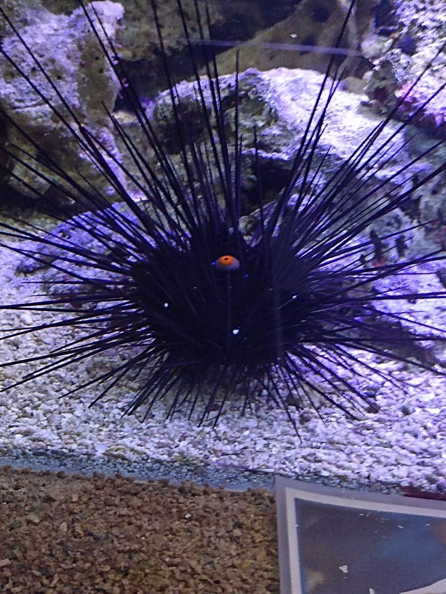 Фото Ярослава