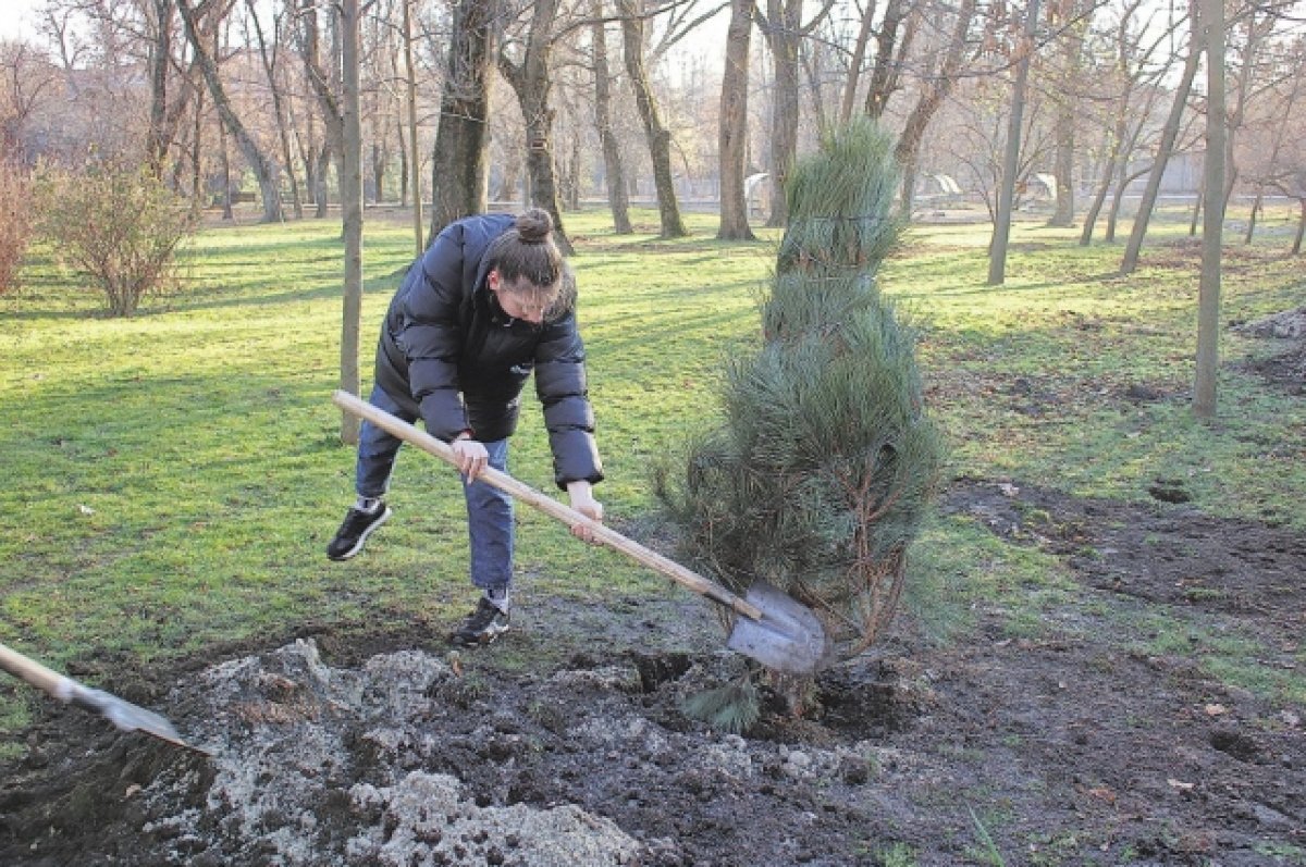   Профилактика помогает бороться с пожарами в лесах.