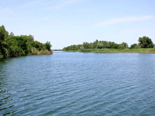    //фото: правительство Ростовской области