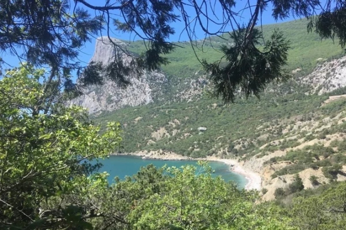    Пострадавшей на Крымском мосту девочке предложили поехать на море