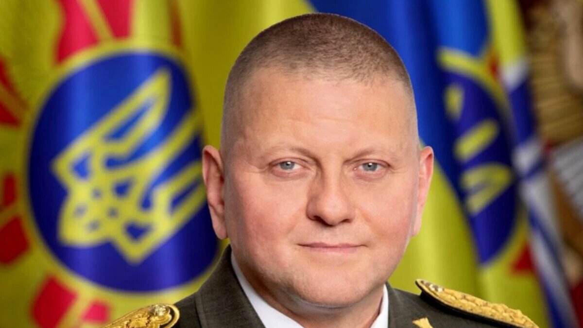Валерий Залужный. Фото: Mil.gov.ua