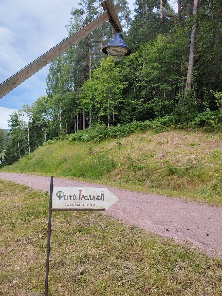 Вдоль тропинки указатели. Не заблудишься.