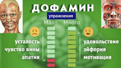 Мозг впадает в депрессию из-за нехватки дофамина. Работа с мимикой улыбки и другие методы повышения дофамина