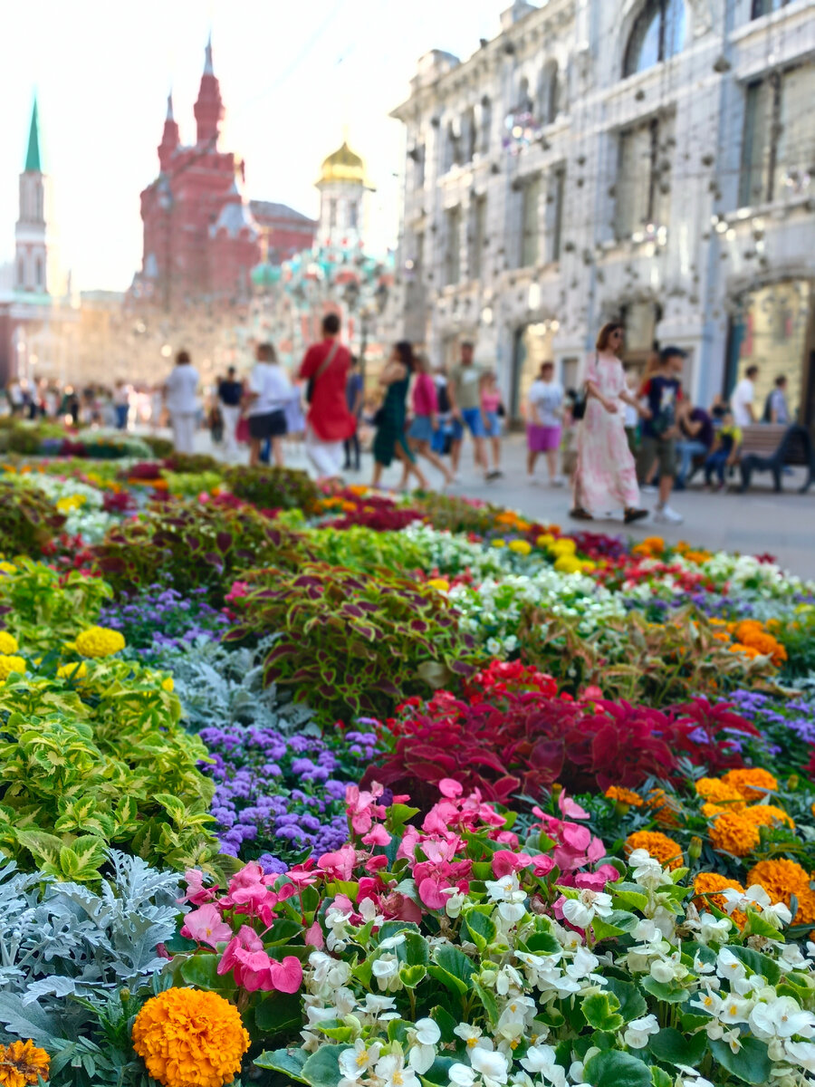 Цветочный фестиваль в Москве в ГУМЕ